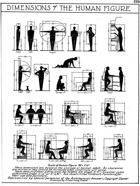 Height and Figure Details