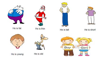 Height and Physical Appearance of Pornbabetyra