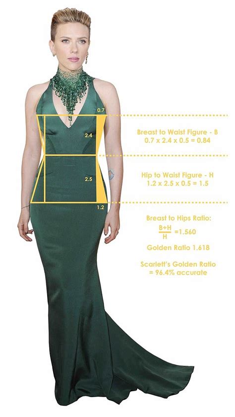 Height and Physical Measurements of the Celebrity