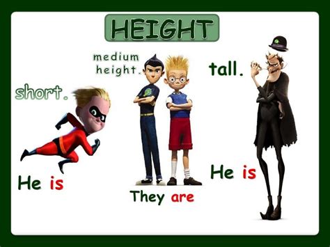 Height and physical figure description