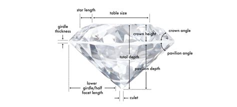 Height of Diamond Danielle: Physical Characteristics