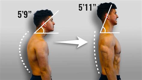 Height of Trixi Spinner: The Truth