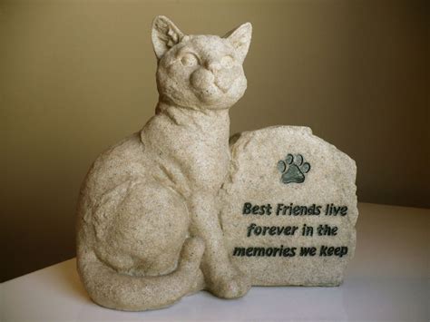 Honoring the Legacy of a Beloved Kitty Companion