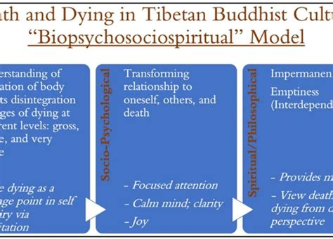 How Cultural Beliefs Influence the Interpretation of Dreams Involving Mobility Challenges