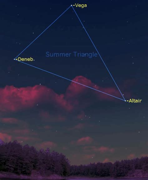 How Tall is the Noteworthy Star?