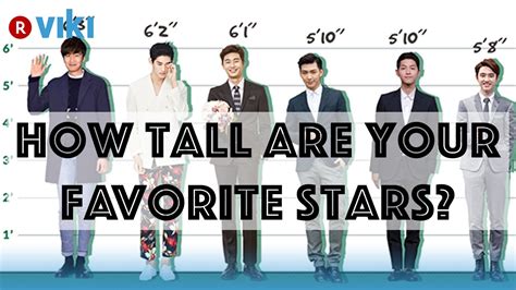 How Tall is the Star?