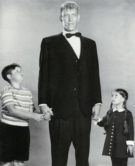 How Tall is the Stature of Ivy Addams?