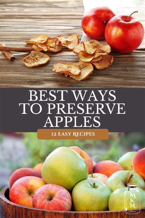 How to Choose and Preserve Apples for Maximum Freshness