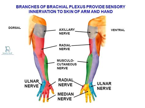 How to Differentiate Dead Arm from Other Sensations