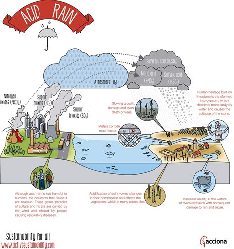 Human Health at Risk: The Impact of Acidic Precipitation on Public Well-being