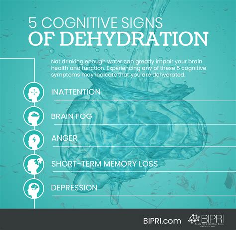 Hydration and Brain Function