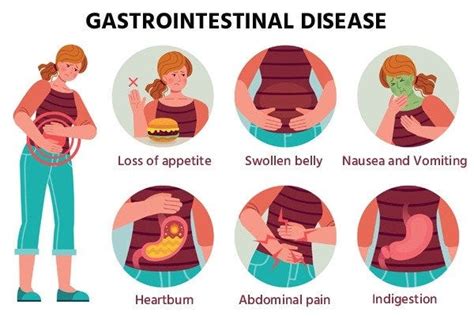 Identifying Warning Signs: Decoding the Appearance of the Stomach and its Connection to Digestive Disorders