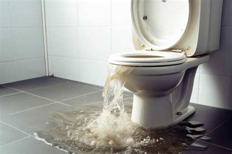 Identifying the Common Causes of Toilet Overflow