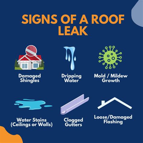 Identifying the Signs of a Roof Leak: Mold, Stains, and Drips