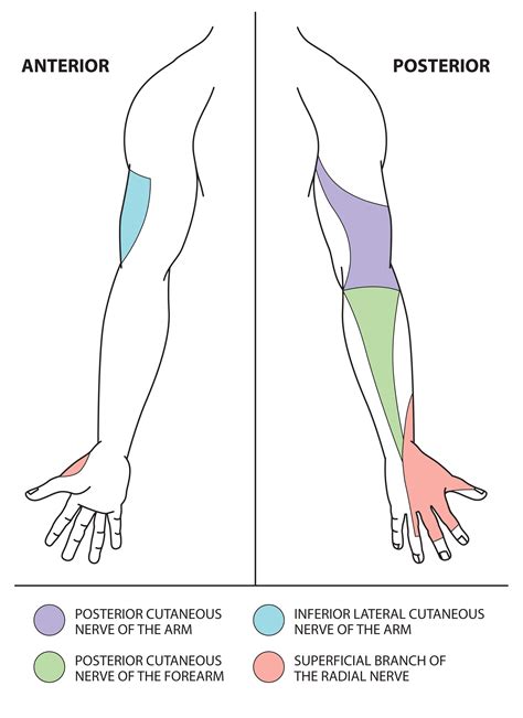 Identifying the Symptoms of Awakening with a Loss of Sensation in the Upper Limb