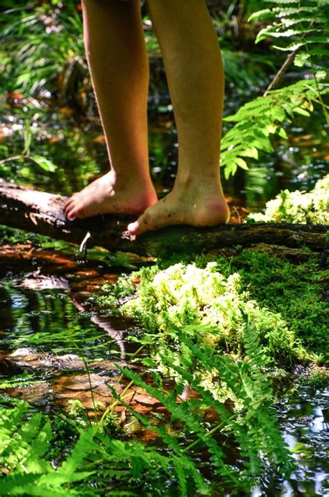 Immersed in Nature: The Therapeutic Power of Exploring the Damp Shore