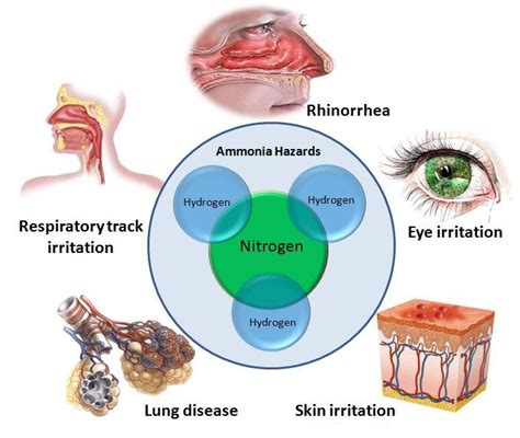 Impact of Amoniee Romane in the Industry