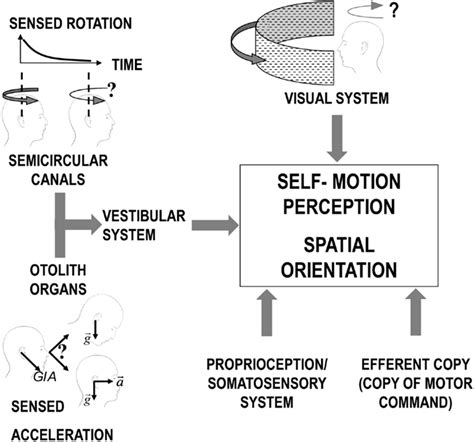 Impact of Visual Perception on Motion Sickness