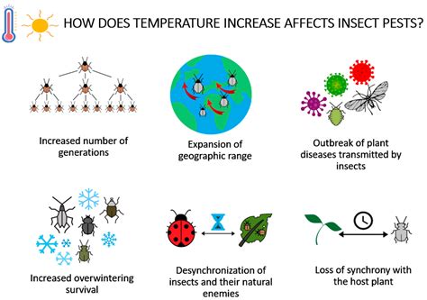 Impact of the Enigmatic Dark Insect on Ecosystems and Agriculture