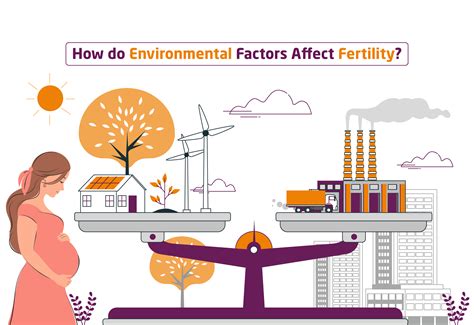 Impact on Fertility and Pregnancy