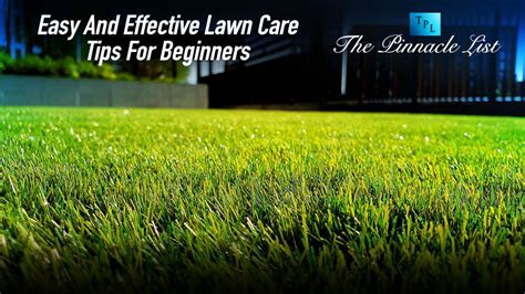 Implementing Effective Lawn Maintenance Techniques