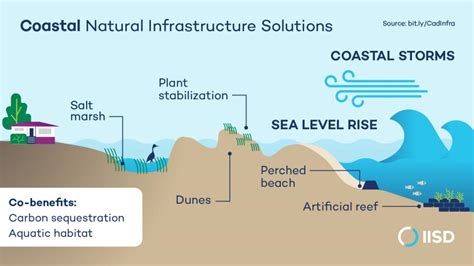 Implications for Coastal Communities and Infrastructure