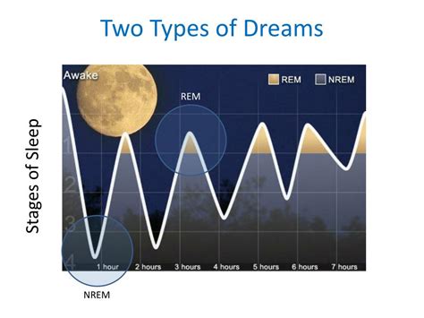 Importance of Dreams Involving a Messy Dwelling Place