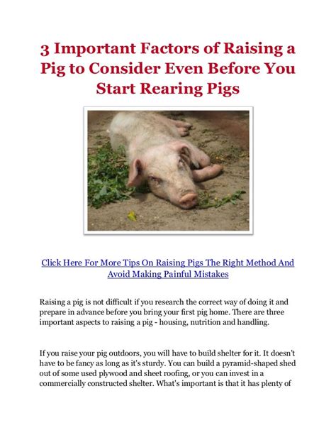 Important Factors to Consider Before Adopting a Pig as a Companion