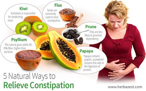 Improving Digestion and Preventing Constipation: The Astonishing Effects of Including Oranges in Your Diet