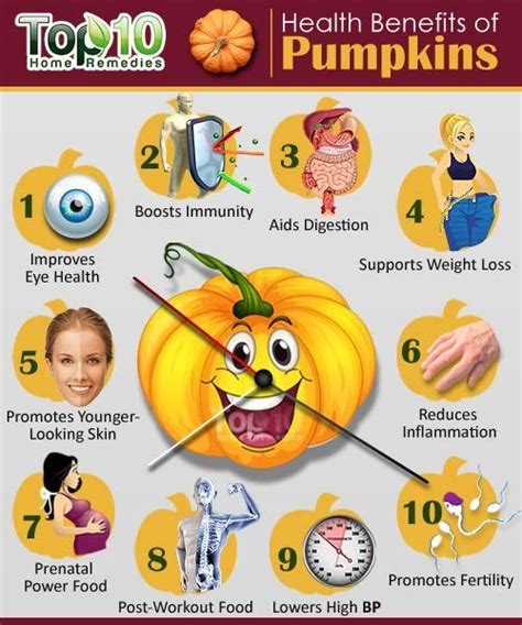 Improving Immune Function and Enhancing Digestive Health with Pumpkin