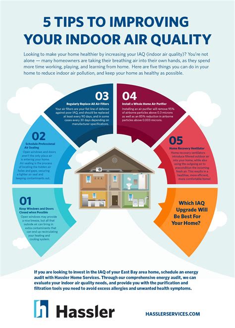 Improving Indoor Air Quality with the Power of Greenery