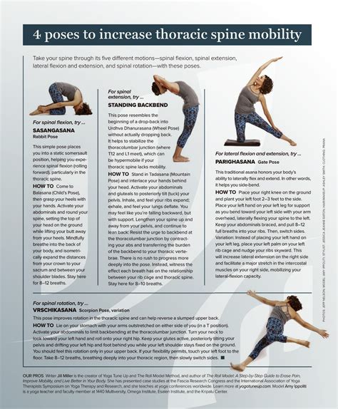 Improving Spinal Health through Stretching and Exercise