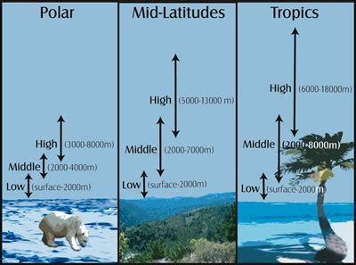 India Cloud's Height and Body Measurements