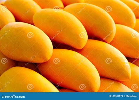 Indulging in the Exotic Pleasure of Ripe Golden Mangoes