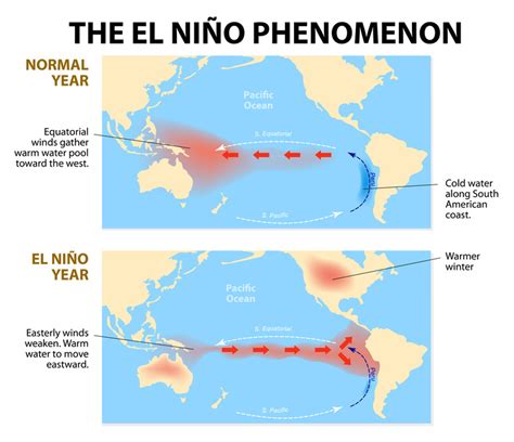 Influence and Impact of the Phenomenon Known as Holi Hurricane