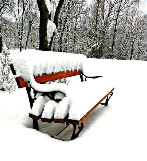 Inner Harmony: Unlocking the Profound Significance of a Snowy Seat