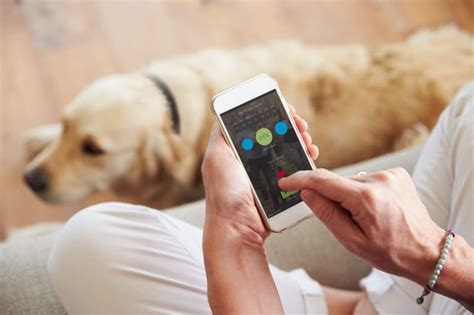 Innovative Tools for Pet Parents: Harnessing the Potential of Wearable Tech and Smart Devices