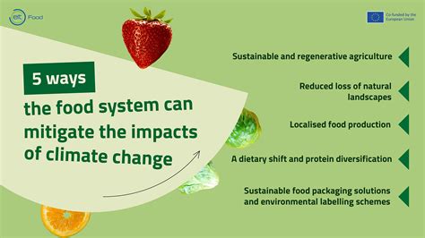 Insects as a Pathway to Sustainability: Mitigating Environmental Impact Through Culinary Choices