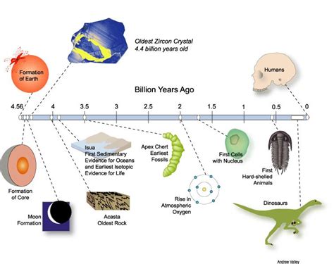 Insight into Background and Years on Earth