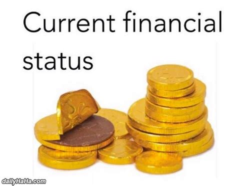 Insight into Lil Chica's Current Financial Status