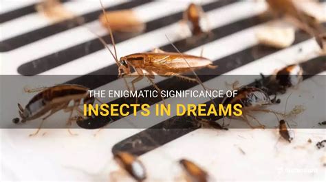 Insights for Analyzing and Understanding the Significance of Dreaming about Crimson Insects