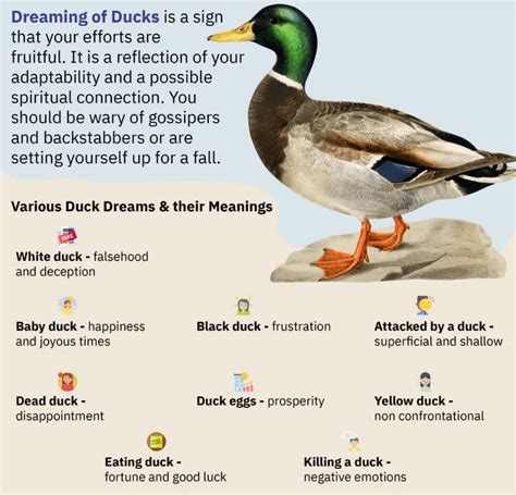 Insights from Psychology: Analyzing the Psychological Meanings of Duck Dreams