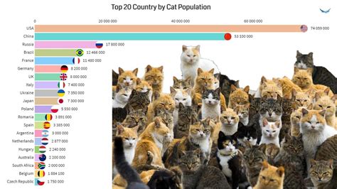 Insights into Feline Population Across the Globe