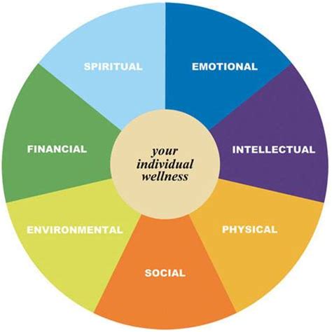 Insights into Lifestyle Preferences of the Mysterious Celebrity