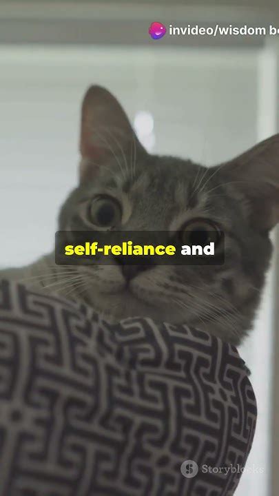 Insights into Purr Sparkling's Personal Life and Relationships