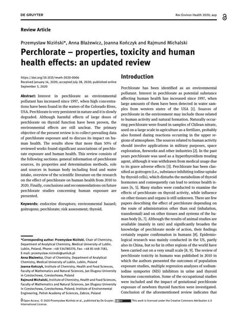 Insights into the body measurements of Andrea Michalski