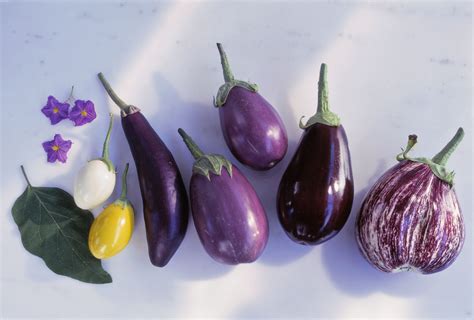 Inspecting the Appearance and Texture of Eggplants