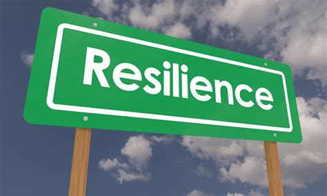 Inspirational Insights from the Life Journey of a Resilient Individual