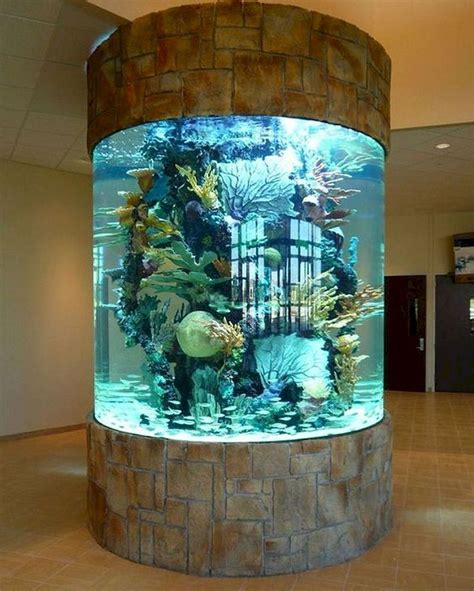 Inspiring Fish Tank Designs: From Breathtaking Nature Replicas to Innovative Modern Concepts