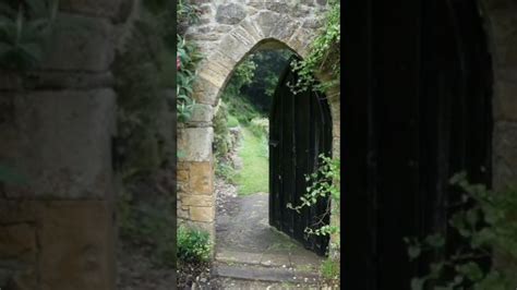 Inspiring Gardeners: Showcasing the Enigmatic Elegance of Sunflowers